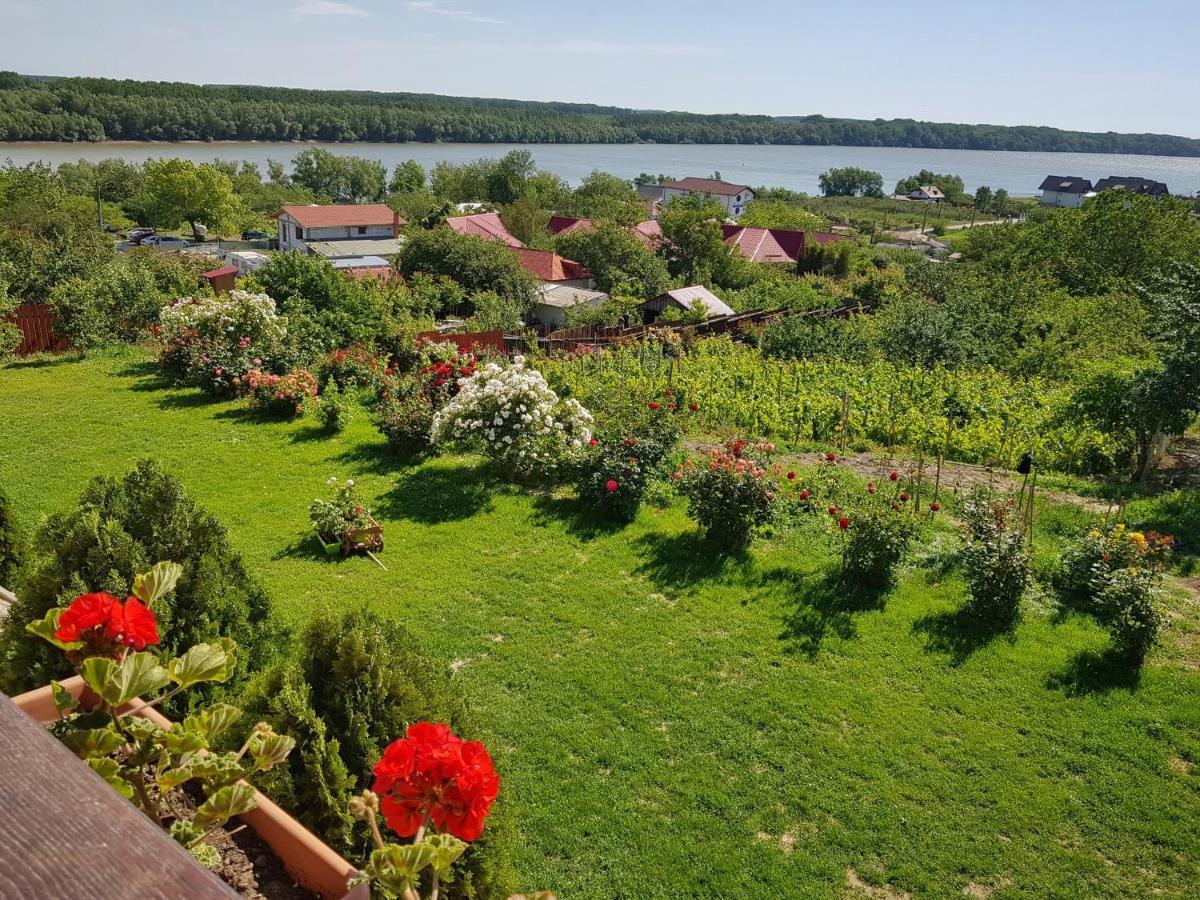 Casa Lac de Verde Băltenii de Sus Exterior foto