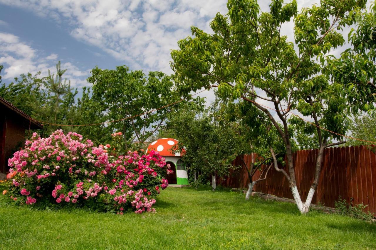 Casa Lac de Verde Băltenii de Sus Exterior foto