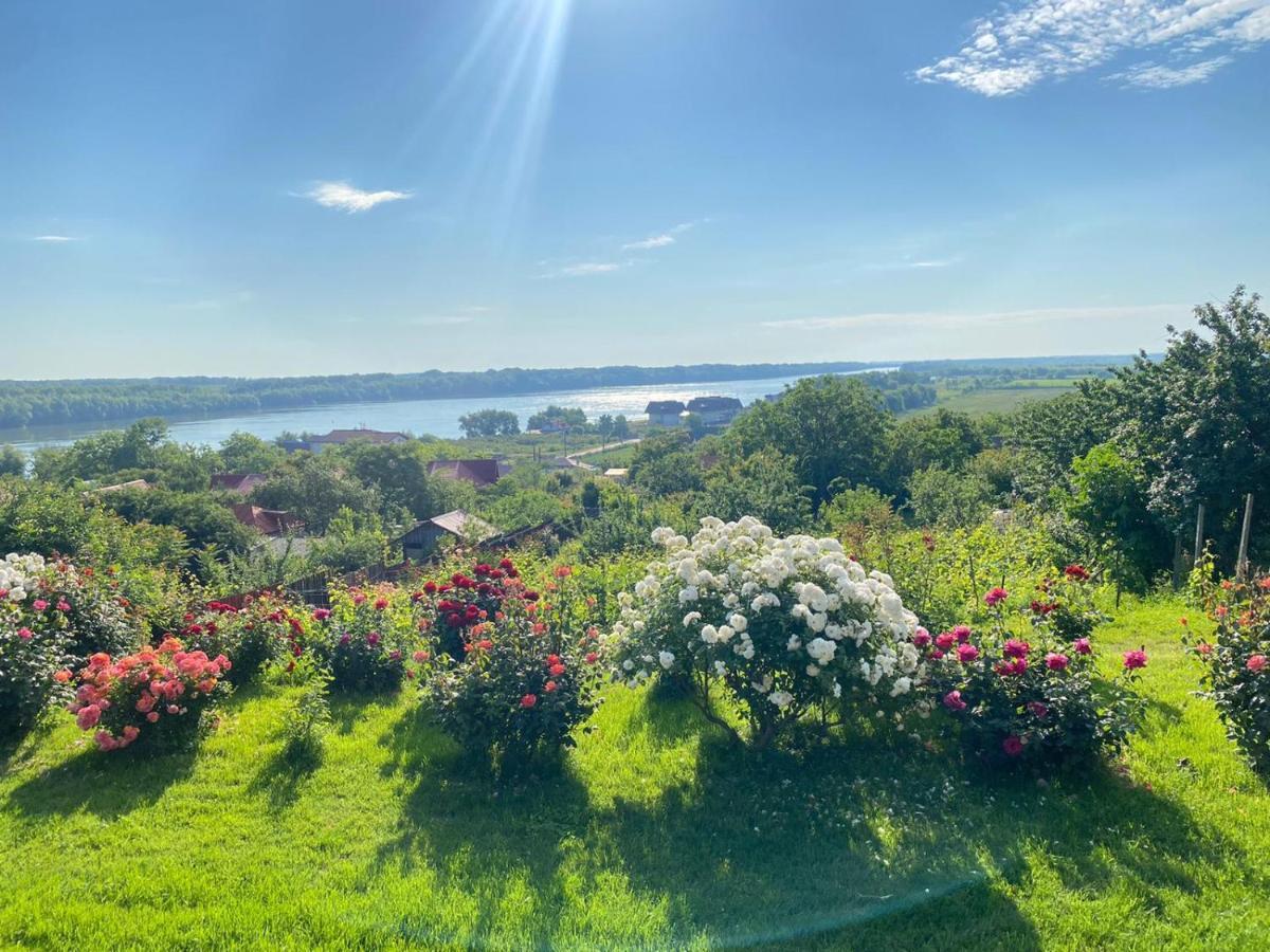 Casa Lac de Verde Băltenii de Sus Exterior foto